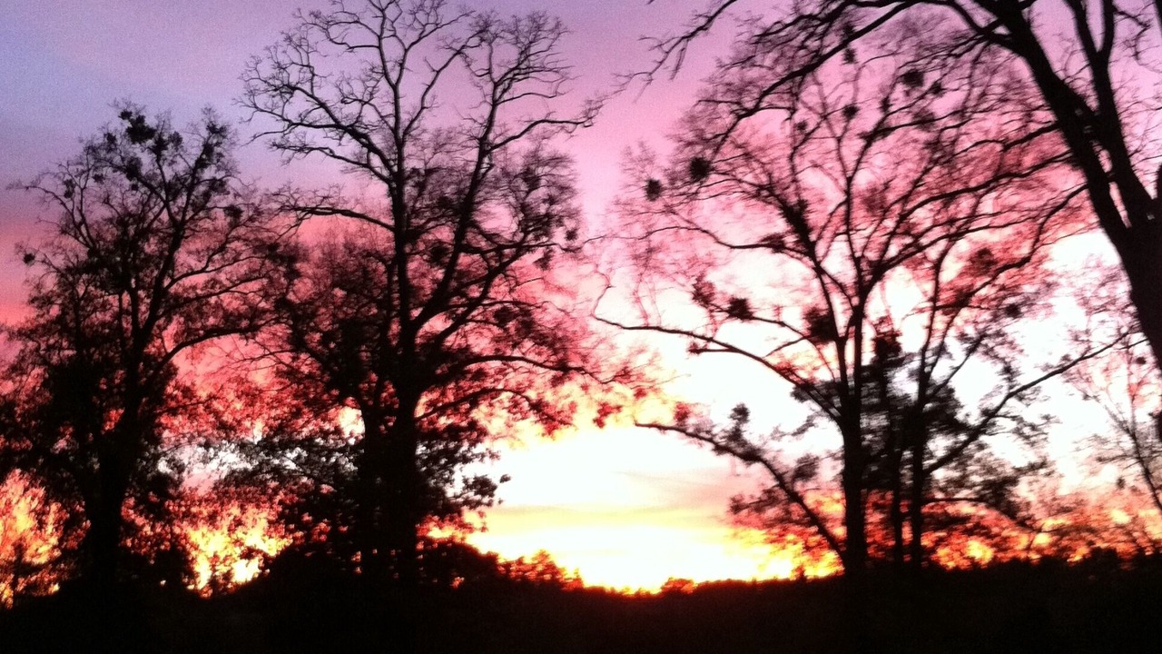 Photo of Outdoor in Tyler