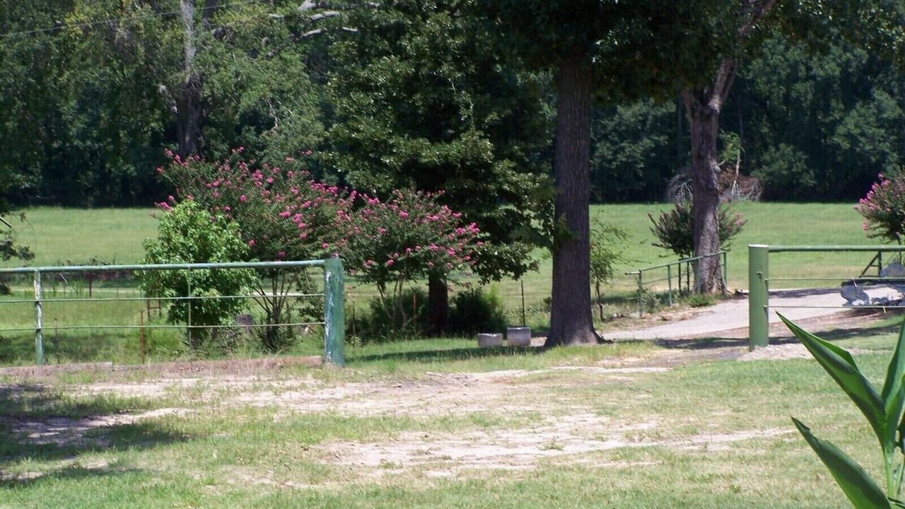 Photo of Outdoor in Tyler