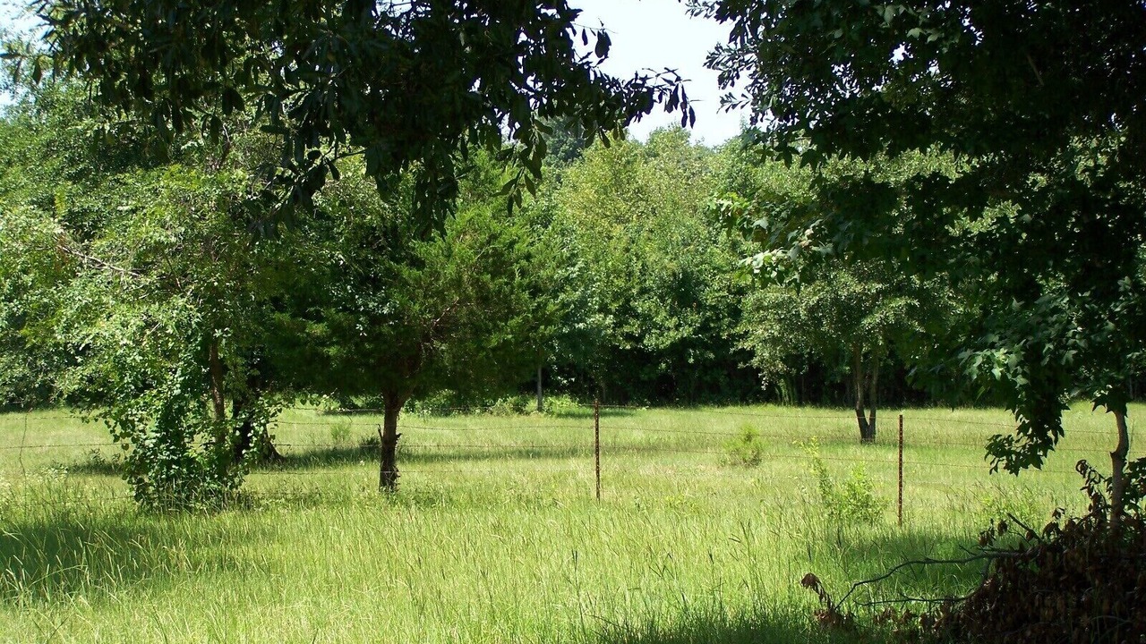 Photo of Outdoor in Tyler