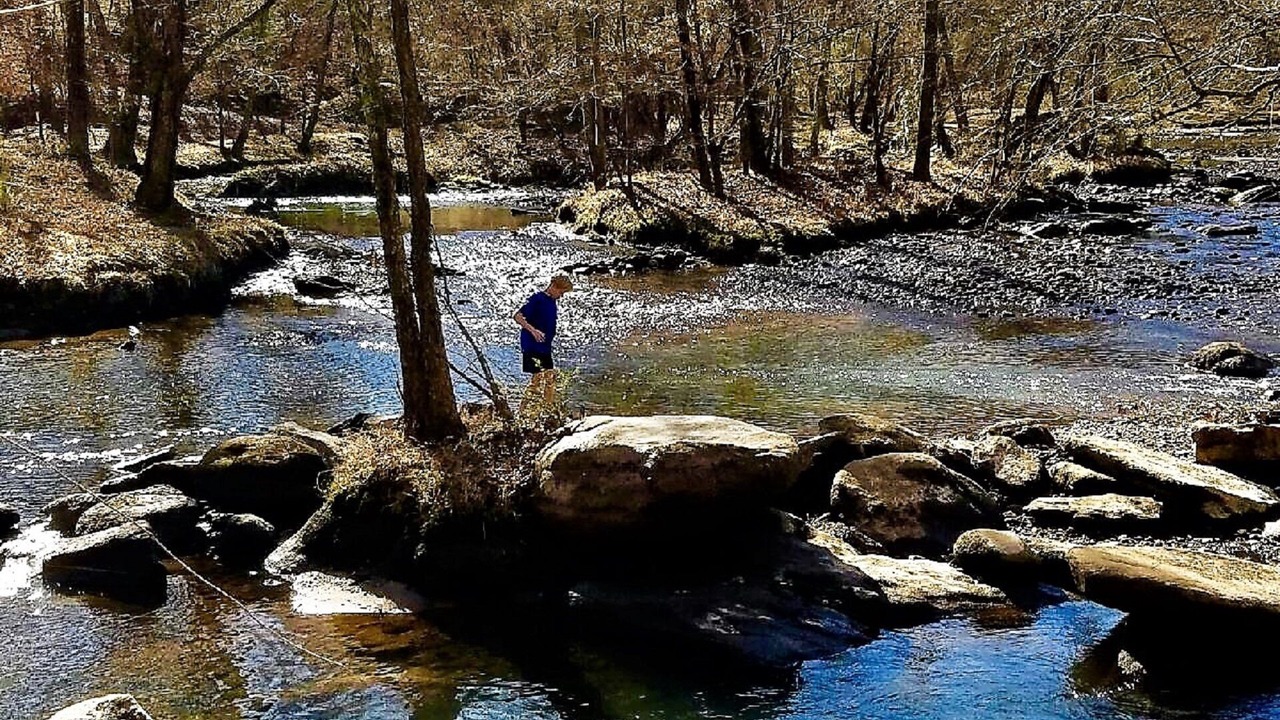 Photo of Others in Lake Lure