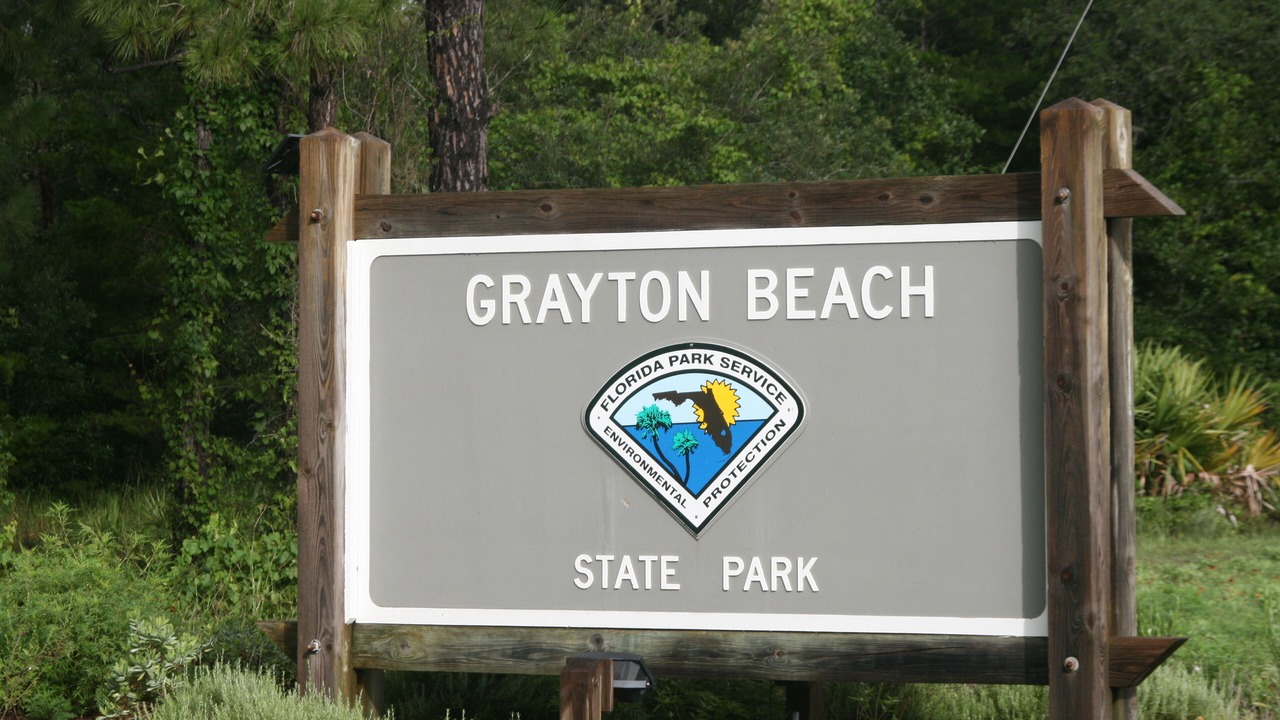 Photo of Others in Gulf Trace