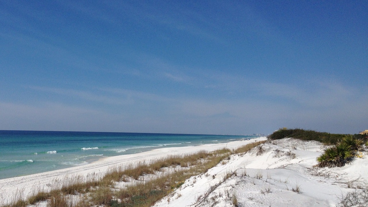Photo of Others in Gulf Trace