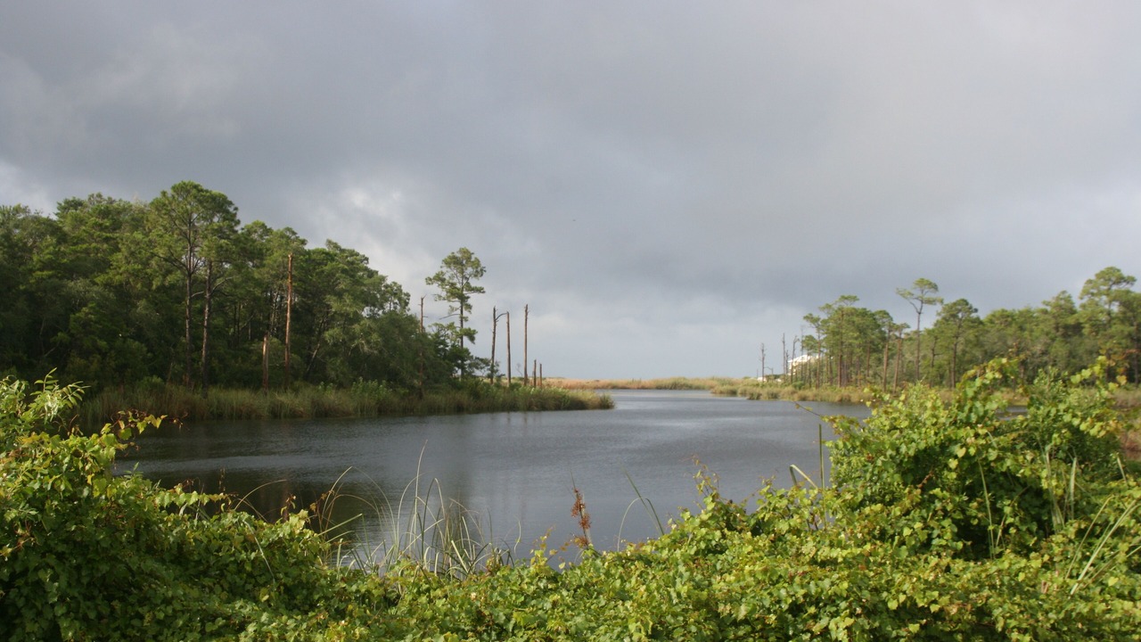 Photo of Outdoor in Gulf Trace