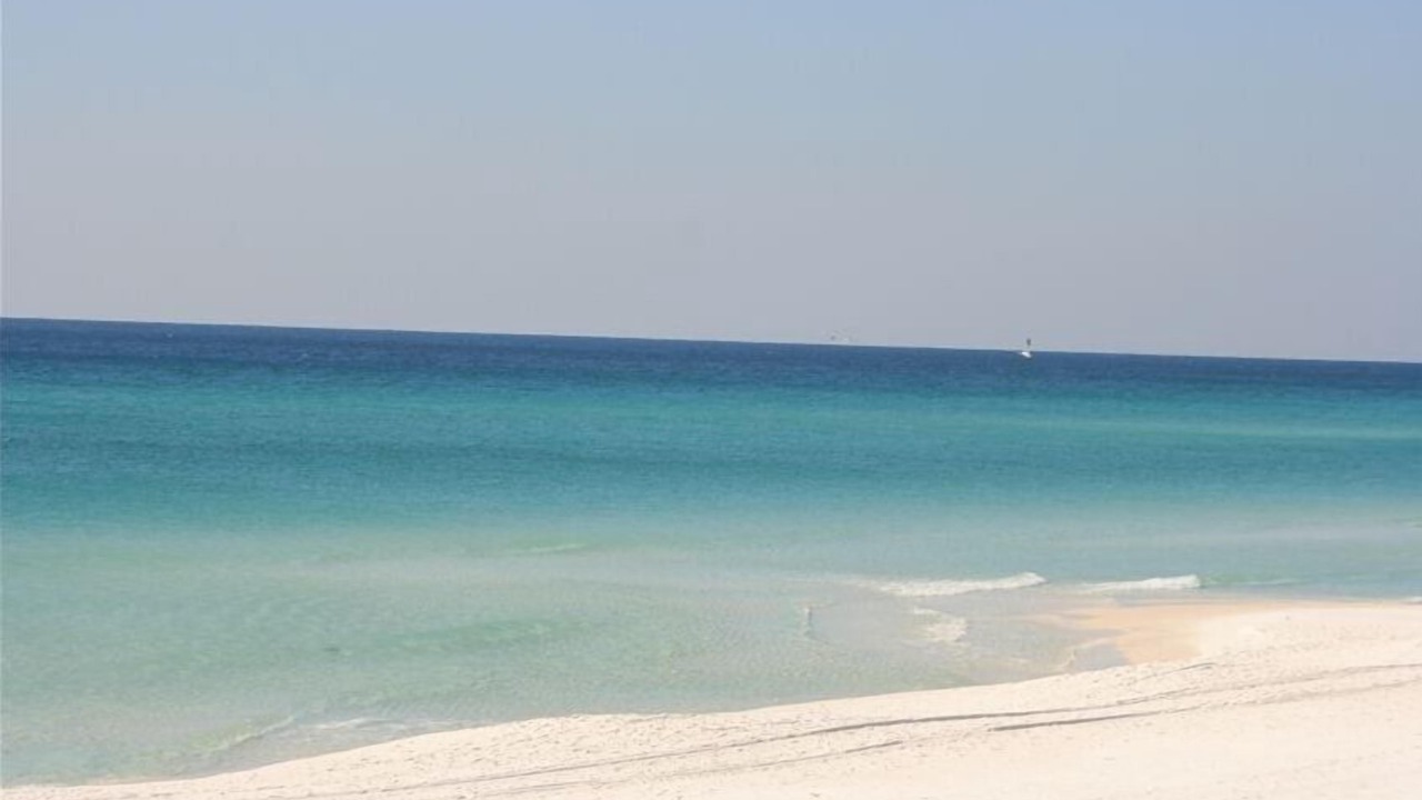 Photo of Others in Gulf Trace