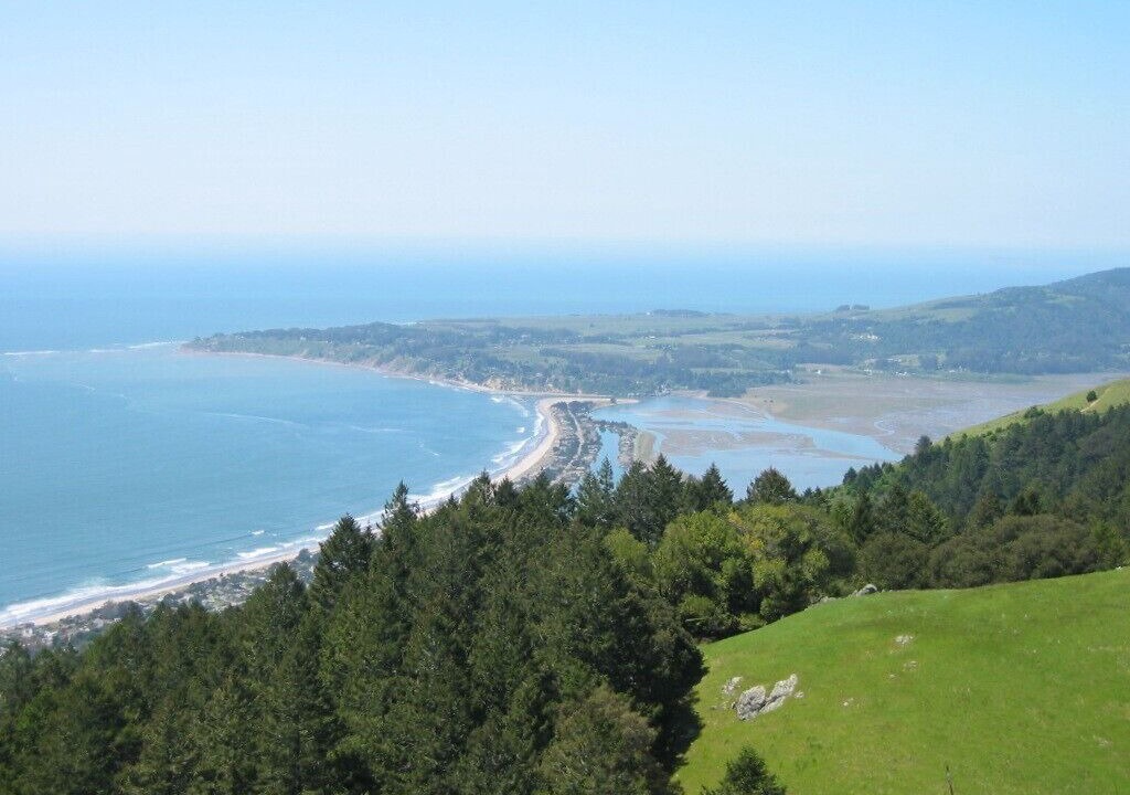 Photo of Others in Stinson Beach
