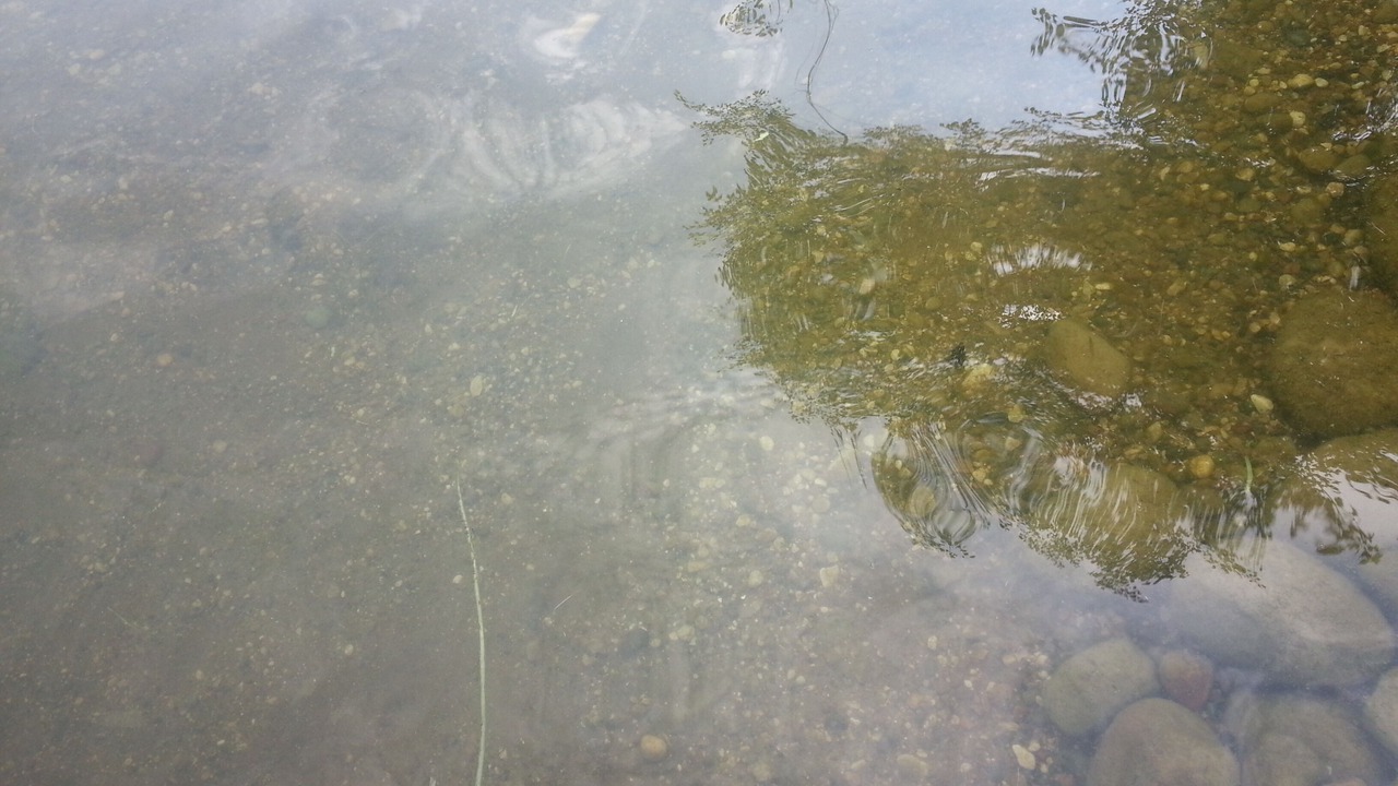 Photo of Others in Parkers Prairie