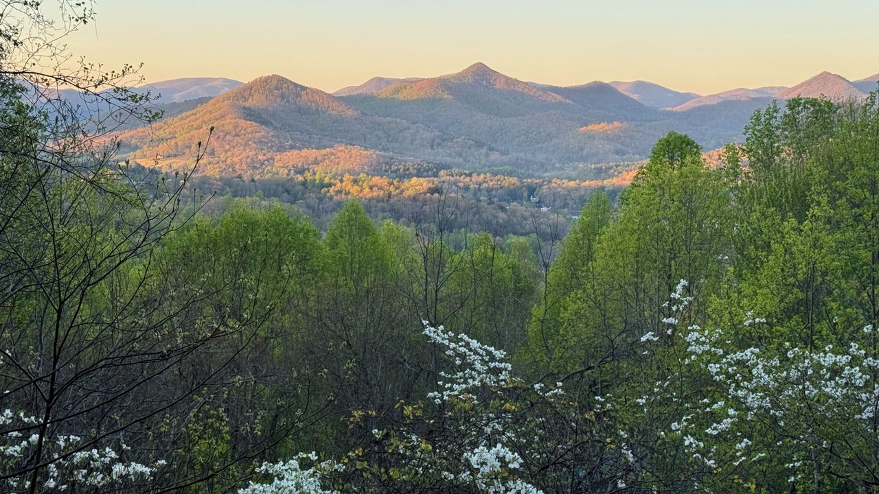 Photo of Others in Hiawassee