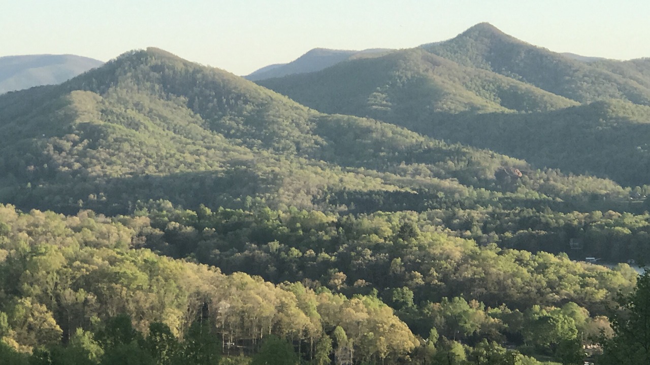 Photo of Others in Hiawassee