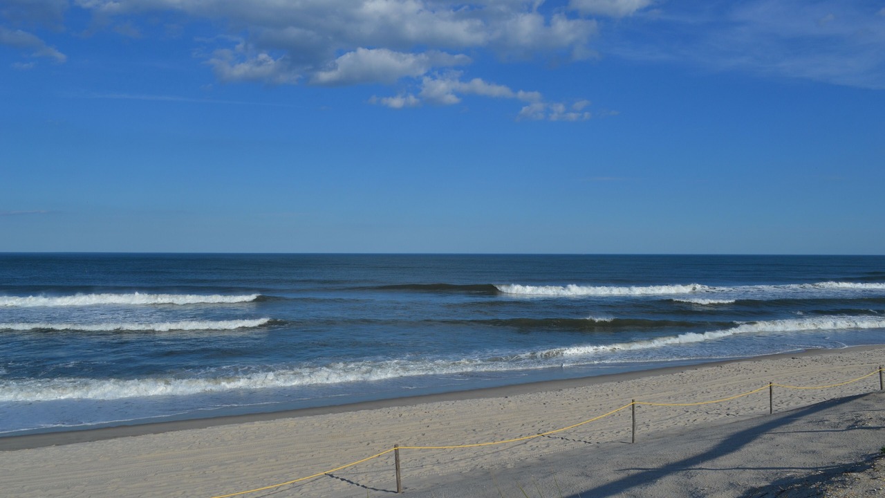 Photo of Others in Harvey Cedars