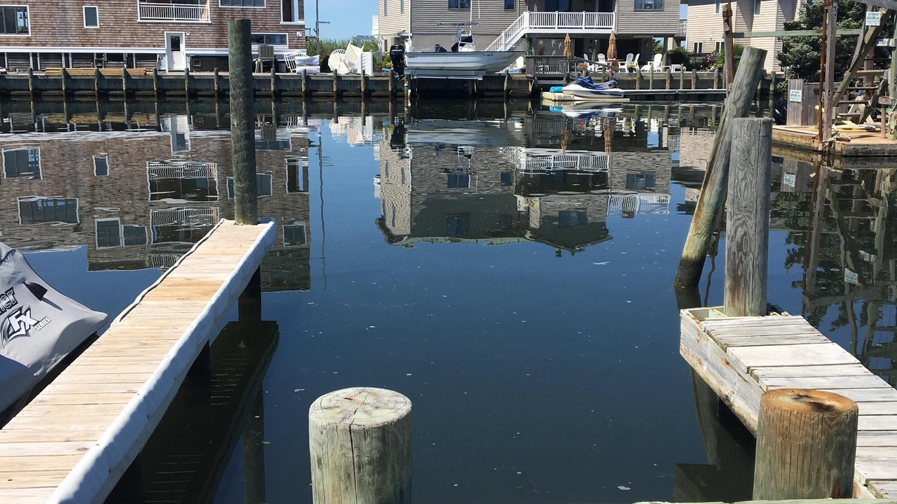 Photo of Outdoor in Harvey Cedars