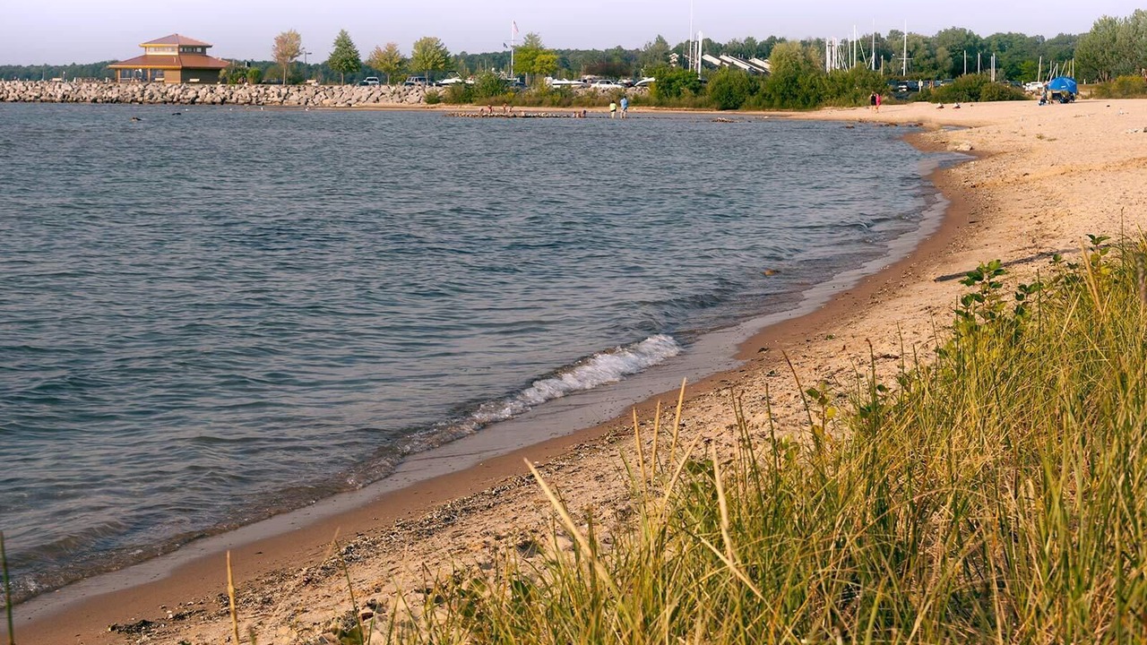 Photo of Others in Elk Rapids