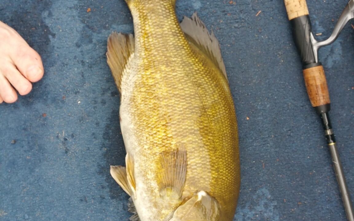 Photo of Others in Elk Rapids