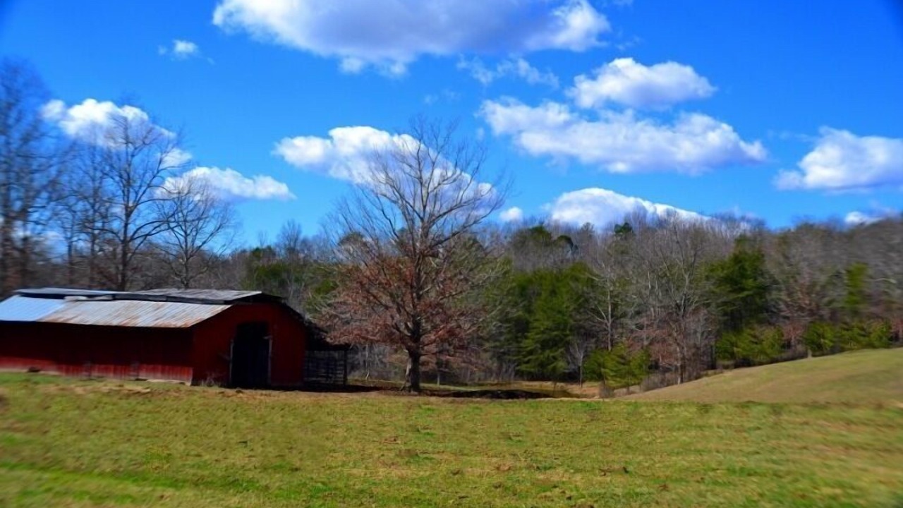 Photo of Others in Lupton City