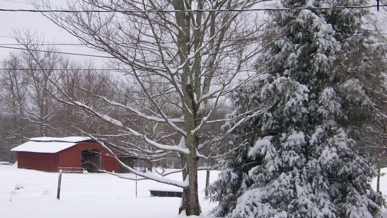 Photo of Others in Lupton City