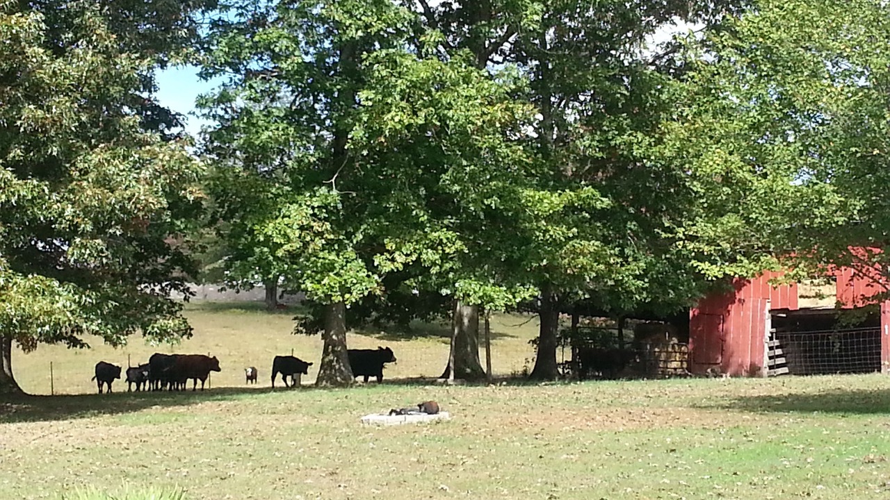 Photo of Others in Lupton City
