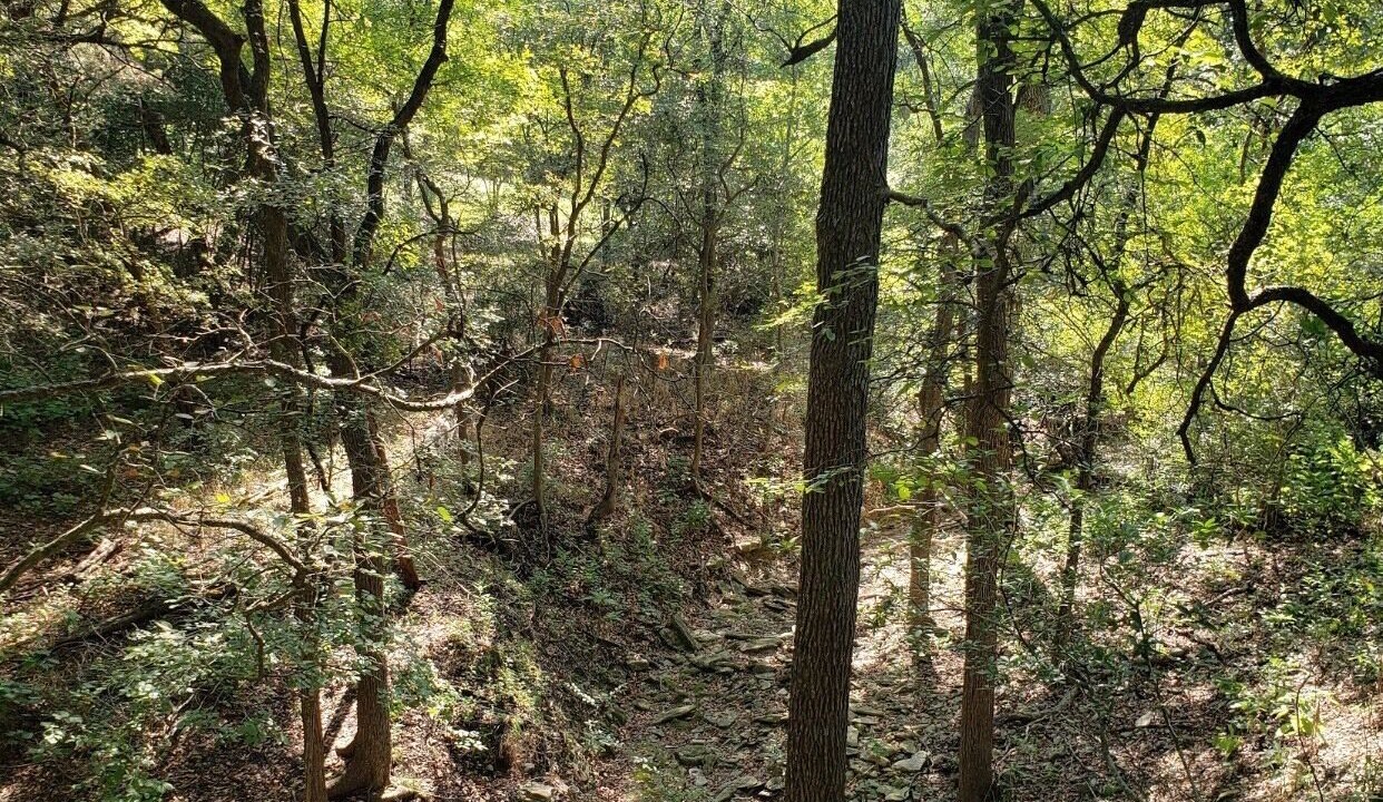 Photo of Outdoor in Kyle