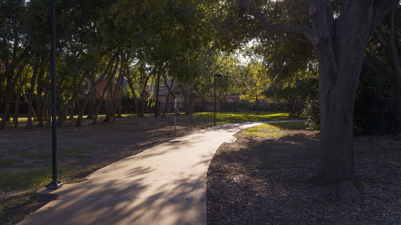 Photo of Outdoor in Addison