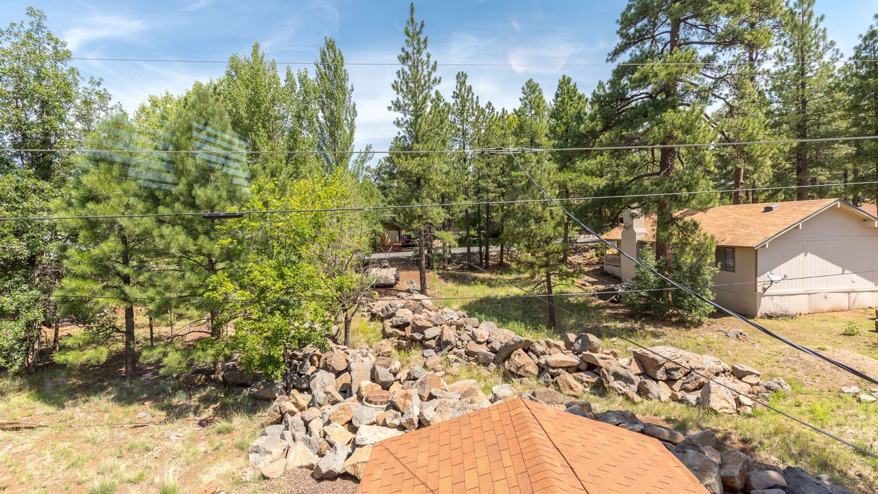 Photo of Outdoor in Munds Park