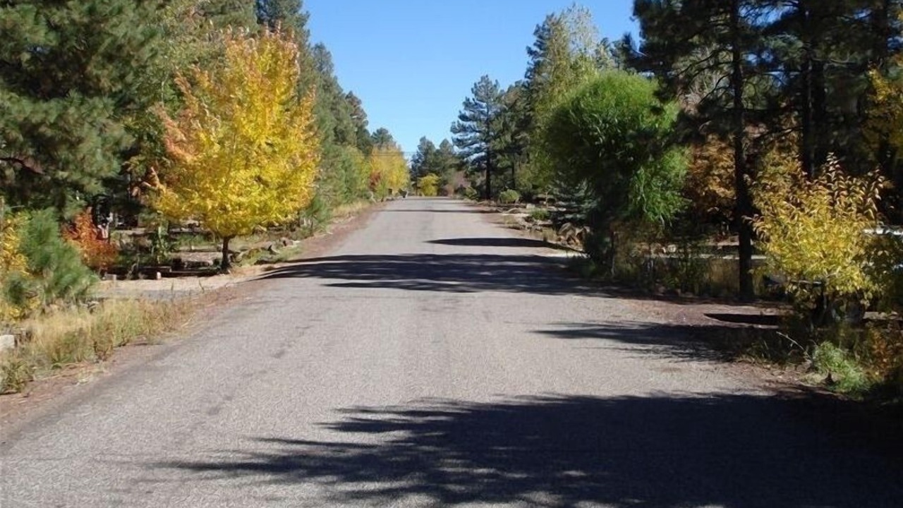 Photo of Others in Munds Park