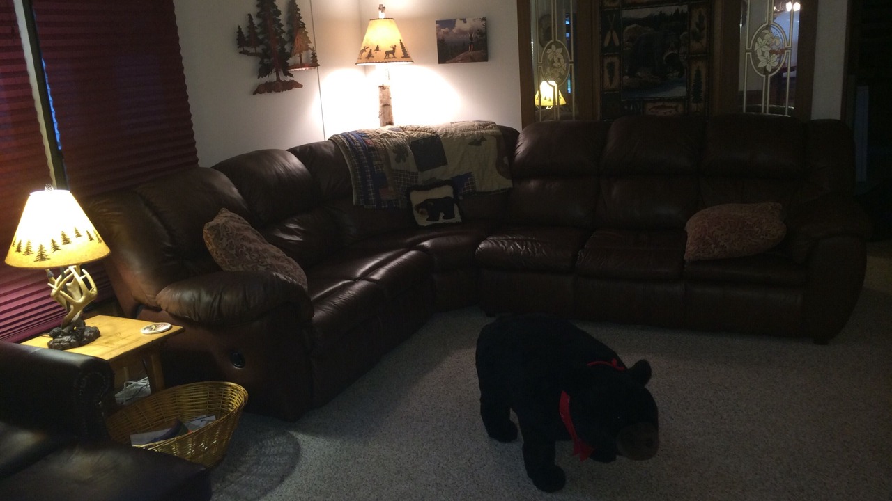 Photo of Livingroom in Lincoln