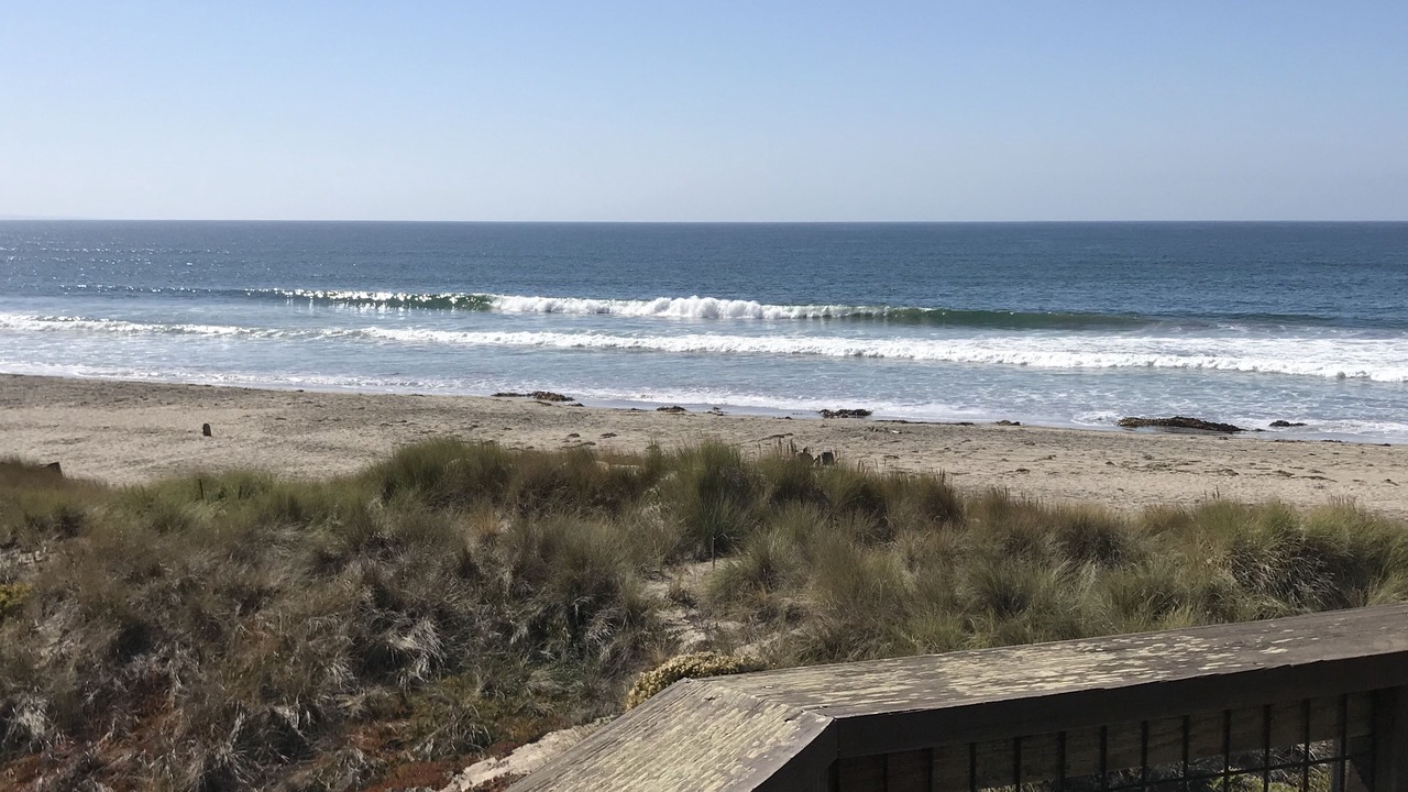 Photo of Others in Pajaro Dunes