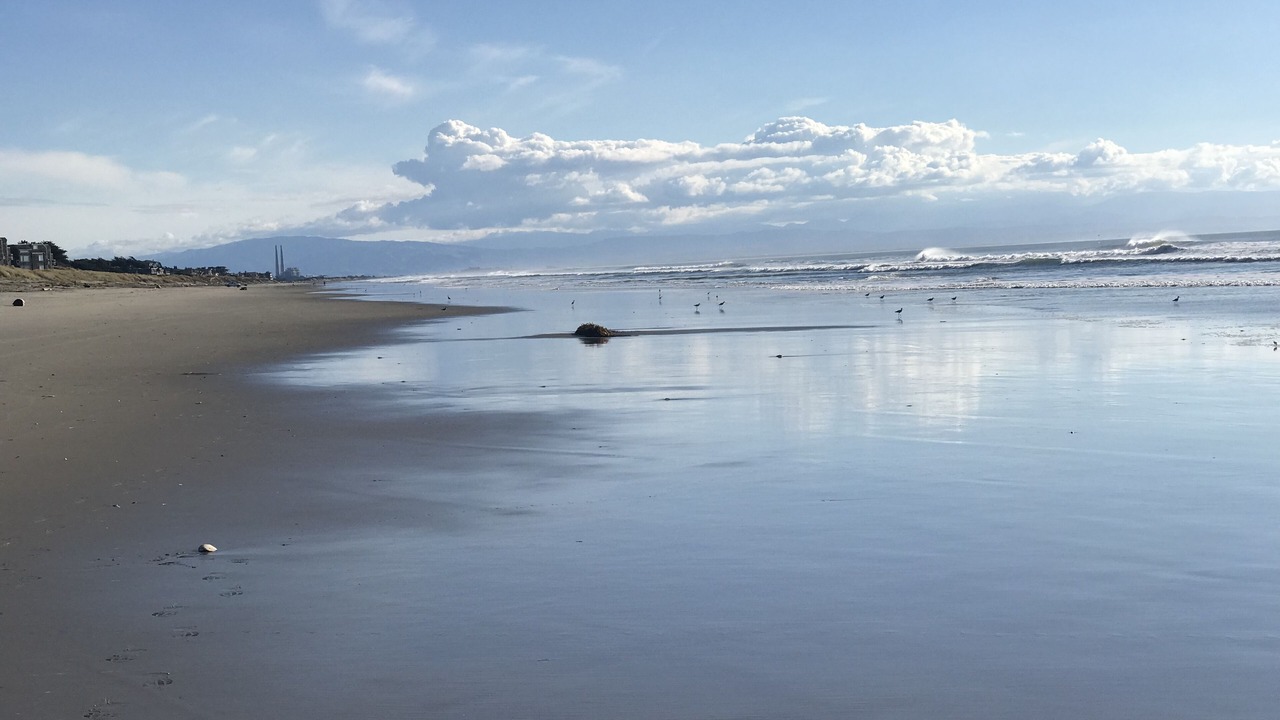 Photo of Others in Pajaro Dunes