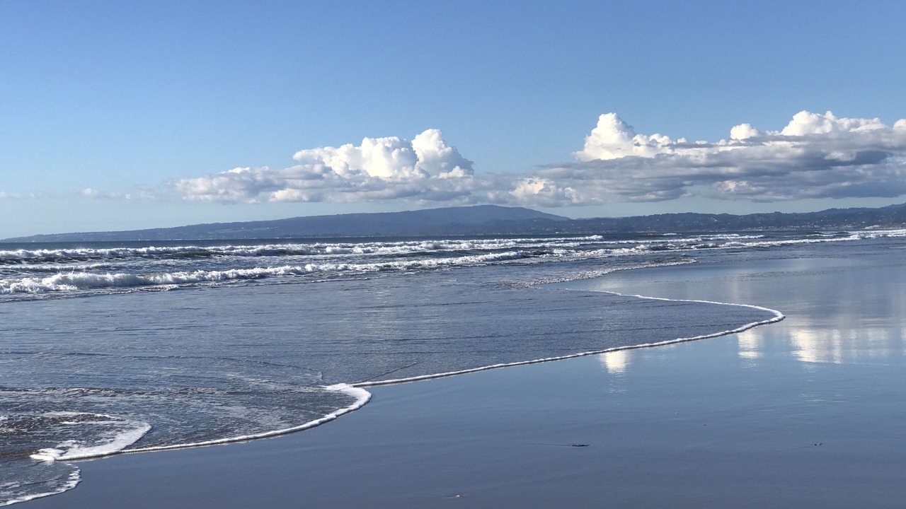 Photo of Others in Pajaro Dunes