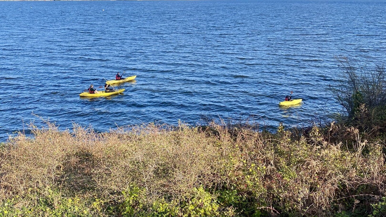 Photo of Others in Freeland