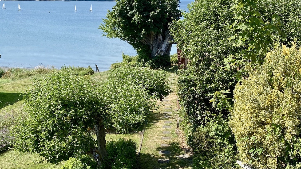 Photo of Others in Freeland