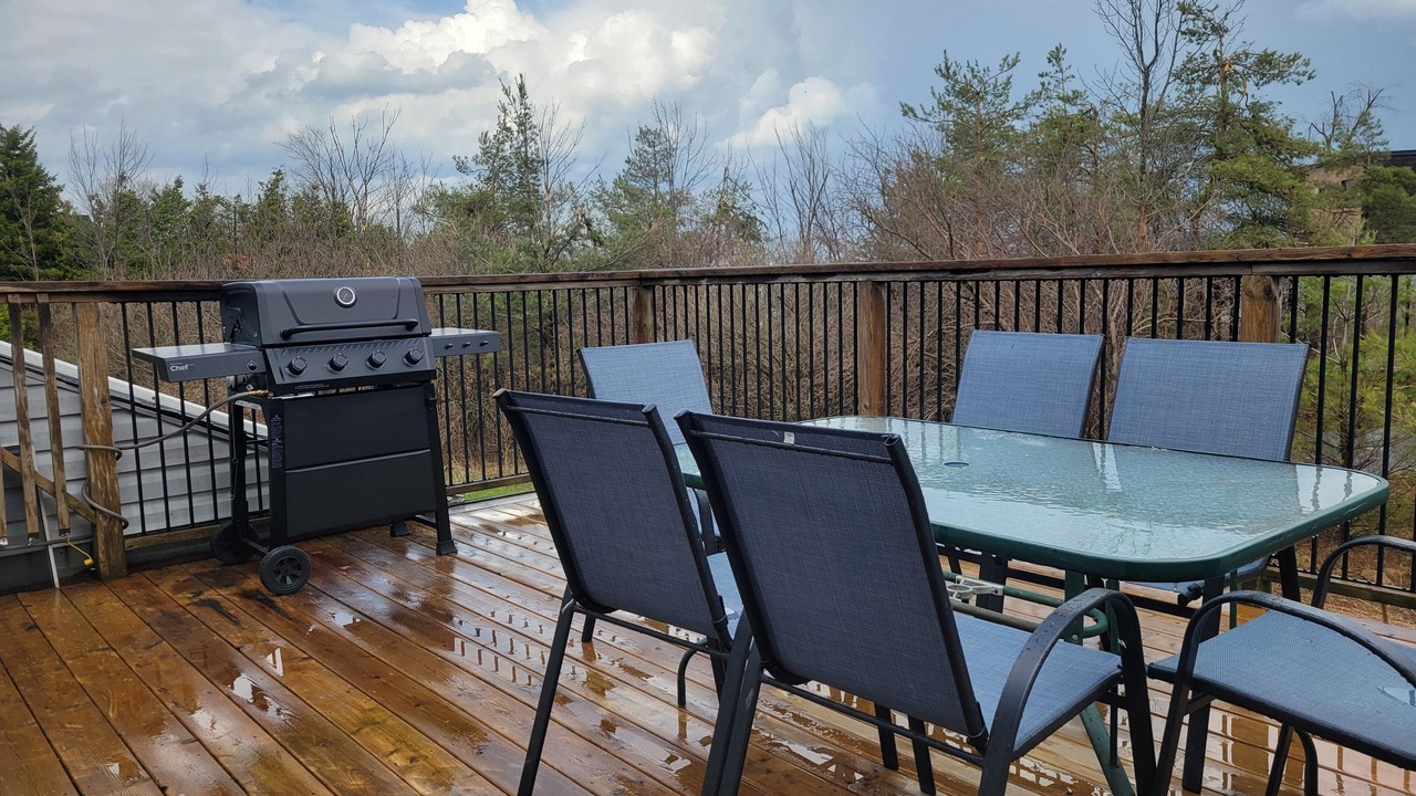 Photo of Outdoor in Swiss Meadows