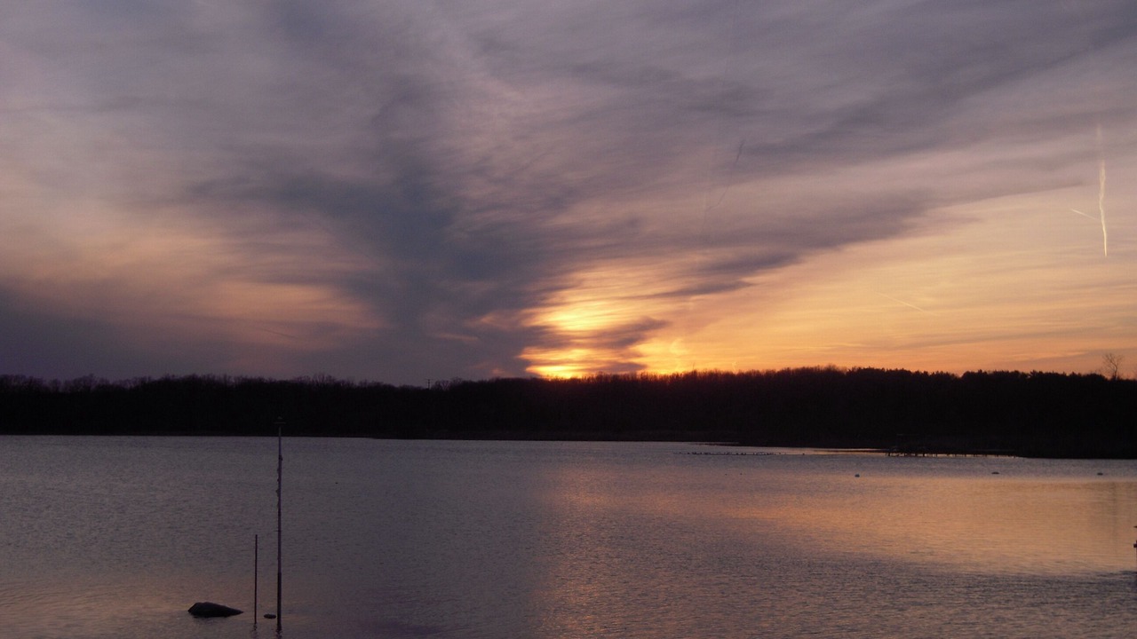 Photo of Others in Pinckney