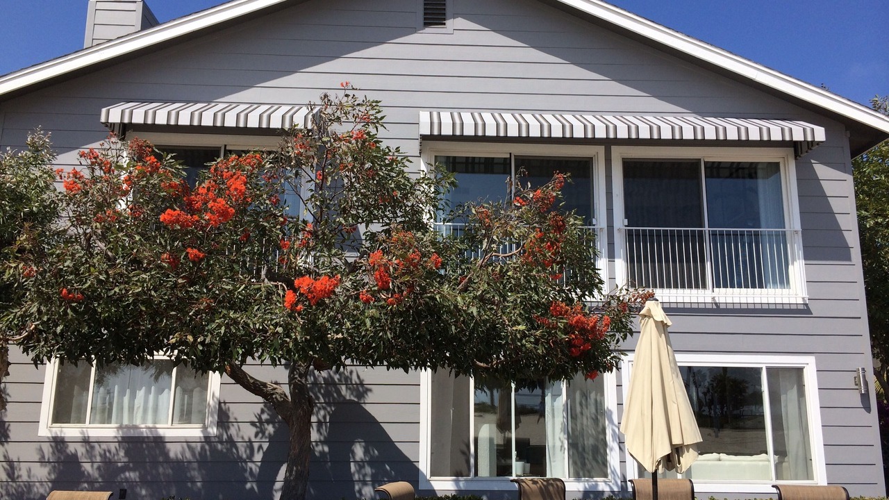 Photo of Outdoor in South Mission Beach