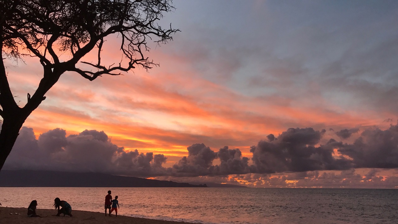 Photo of Others in Paia