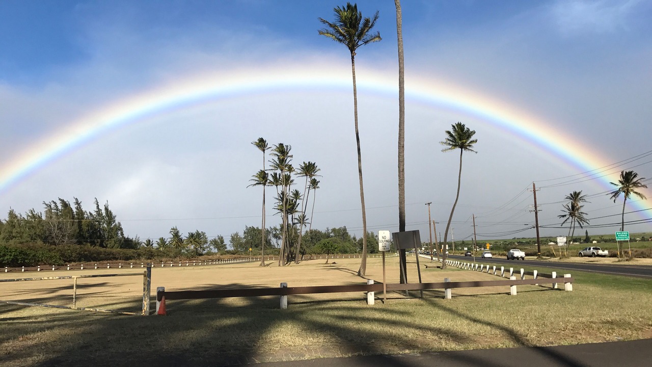 Photo of Others in Paia
