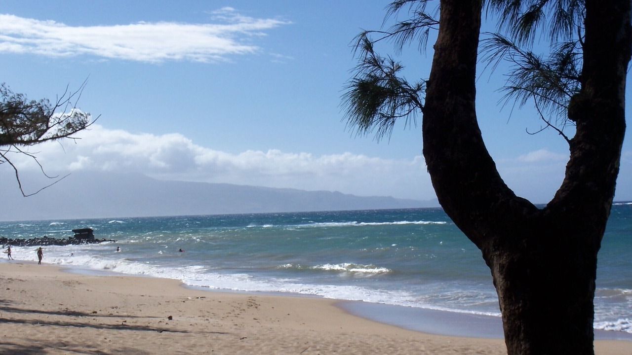 Photo of Others in Paia