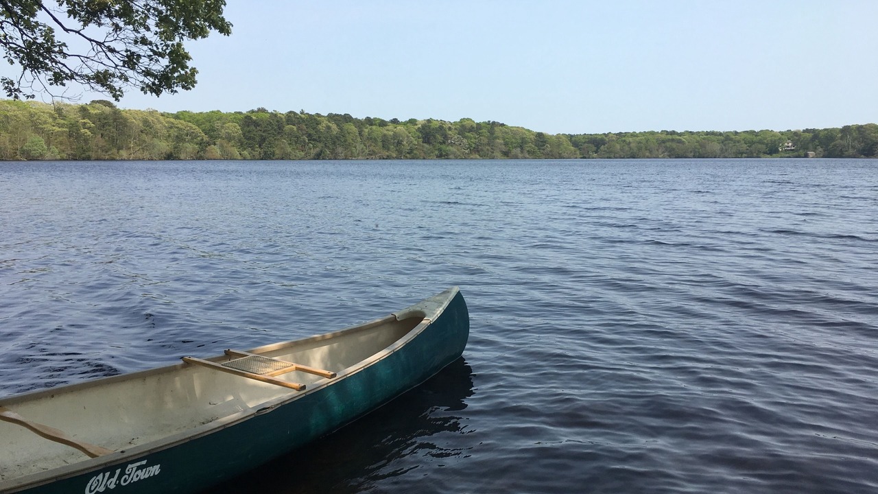 Photo of Others in Cotuit