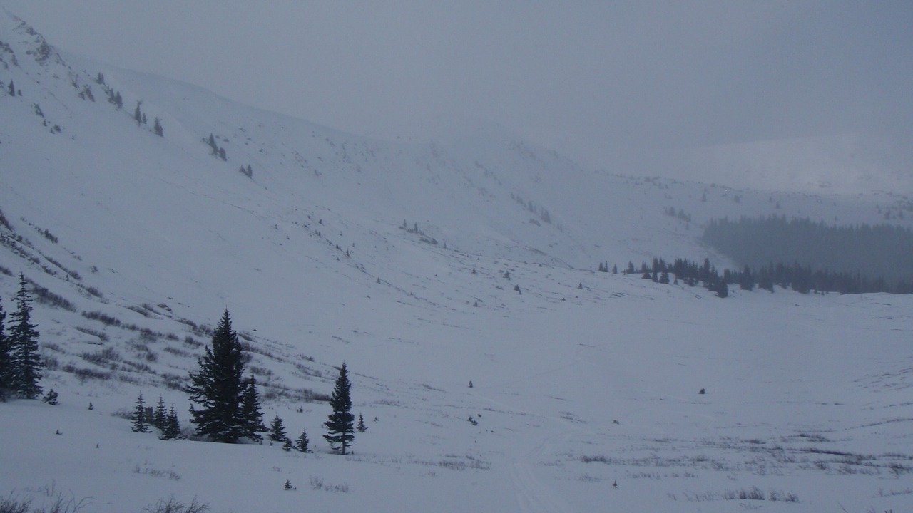 Photo of Others in Dillon