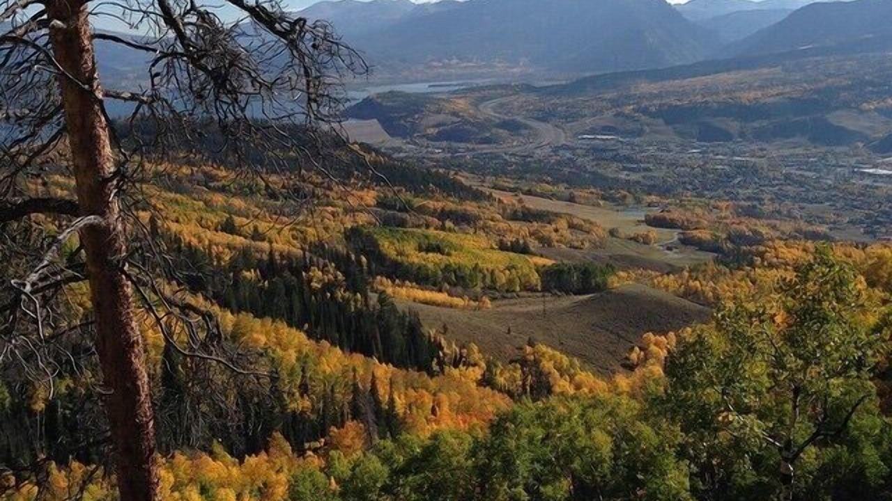 Photo of Others in Dillon