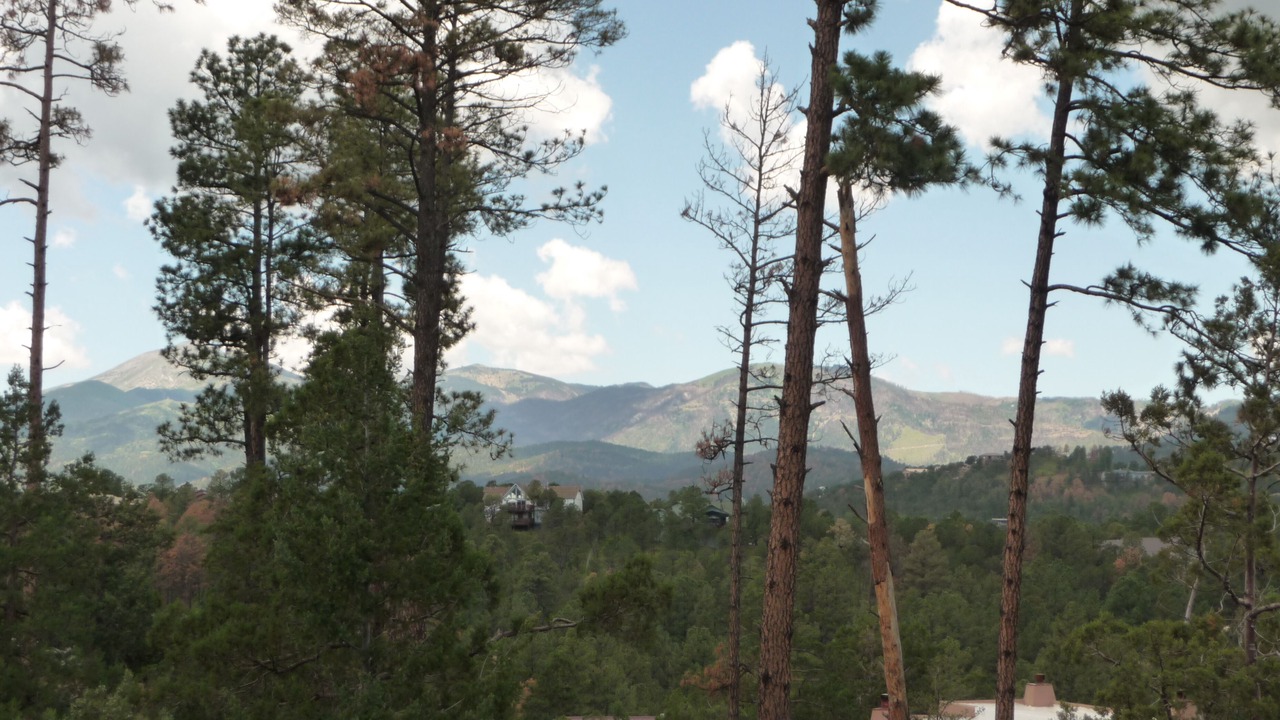 Photo of Others in Ruidoso