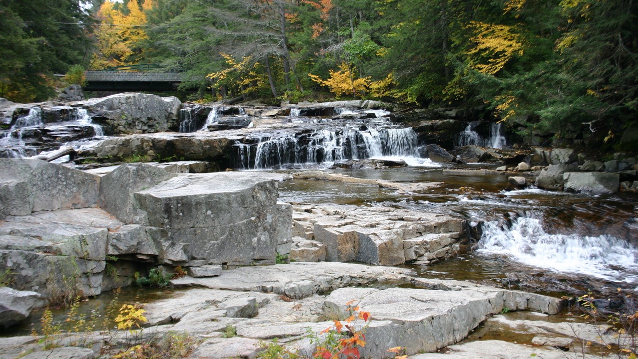 Photo of Outdoor in Jackson