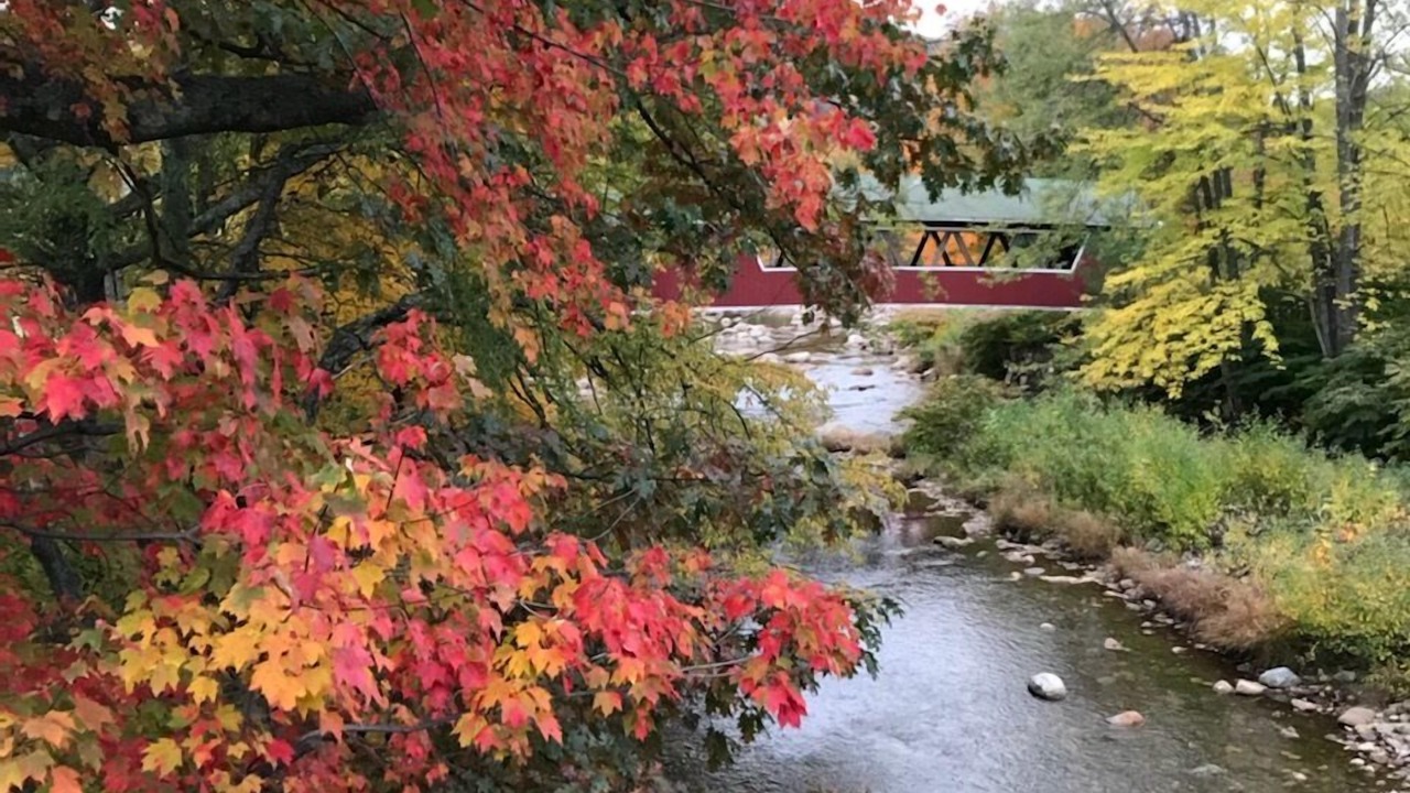 Photo of Outdoor in Jackson