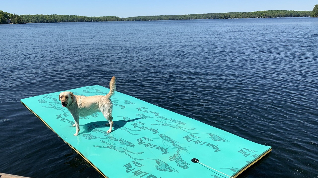 Photo of Others in North Kawartha