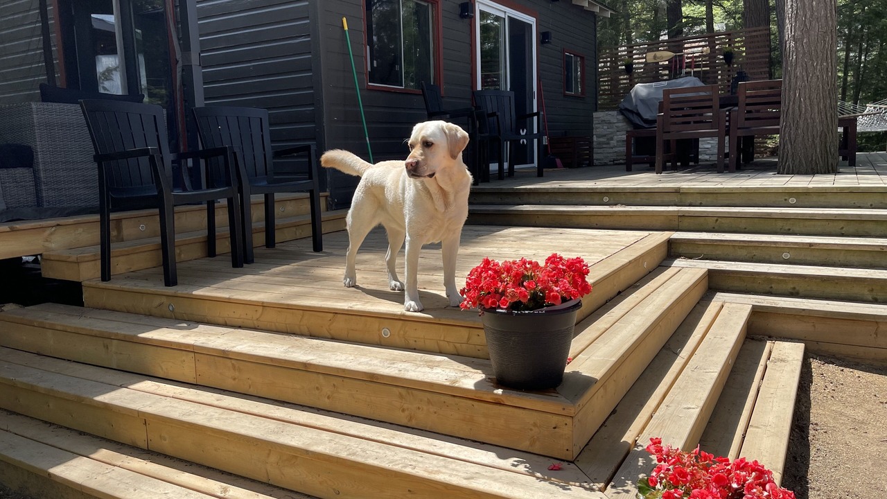 Photo of Patio Balcony in North Kawartha