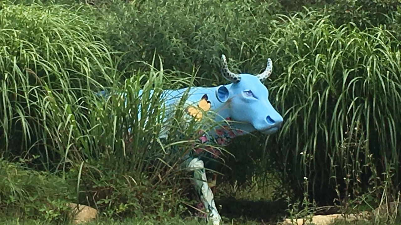 Photo of Others in Edgartown