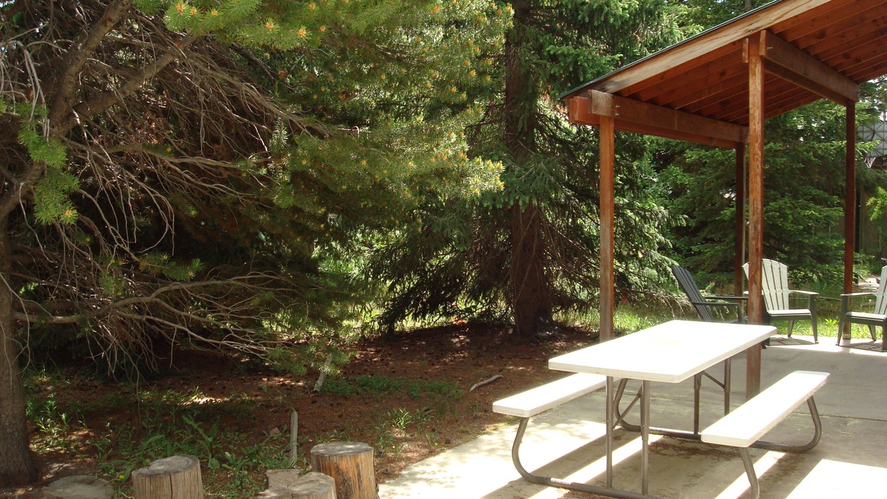 Photo of Others in West Yellowstone