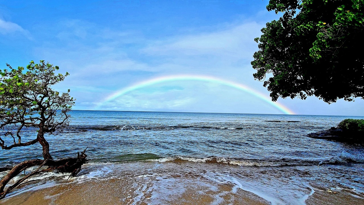 Photo of Others in Honokowai