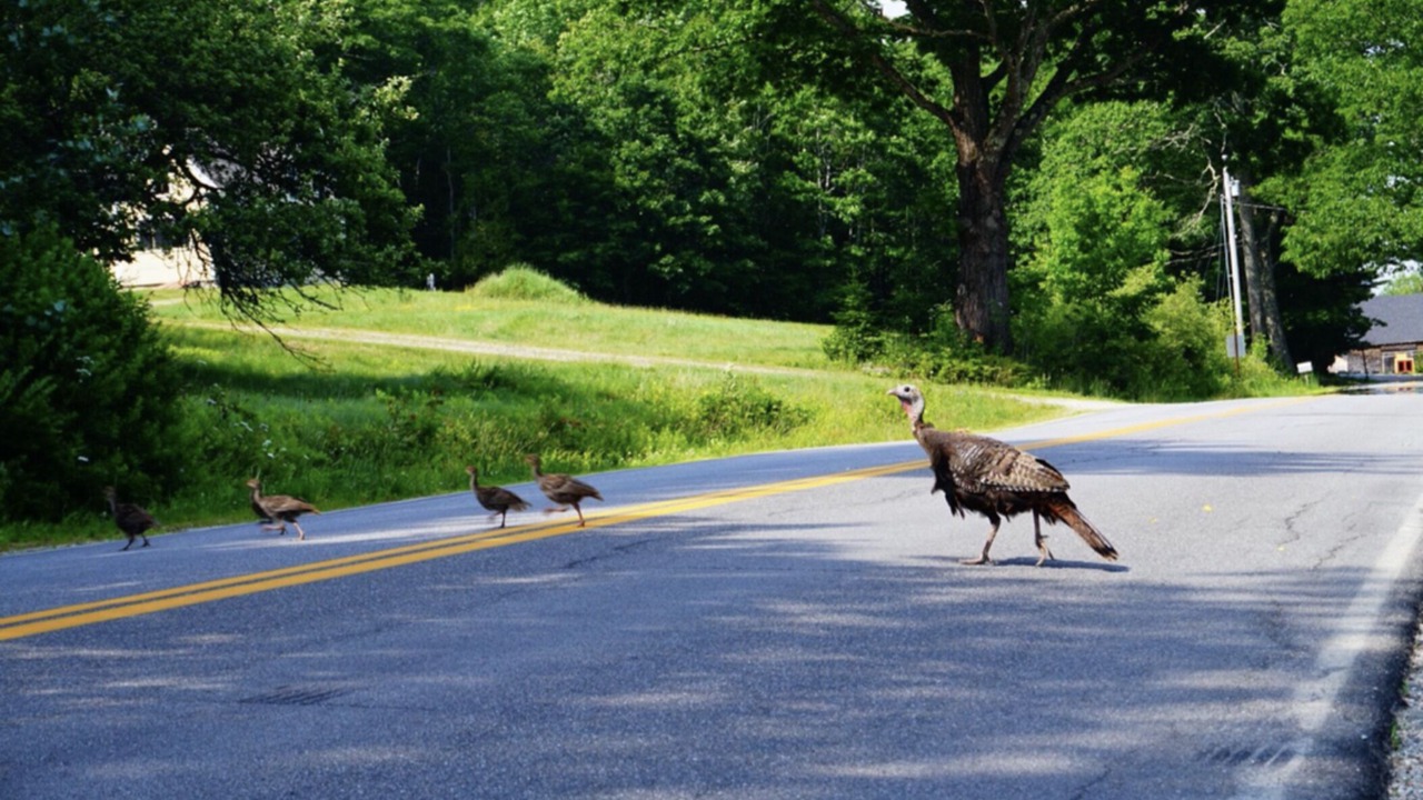 Photo of Others in Surry