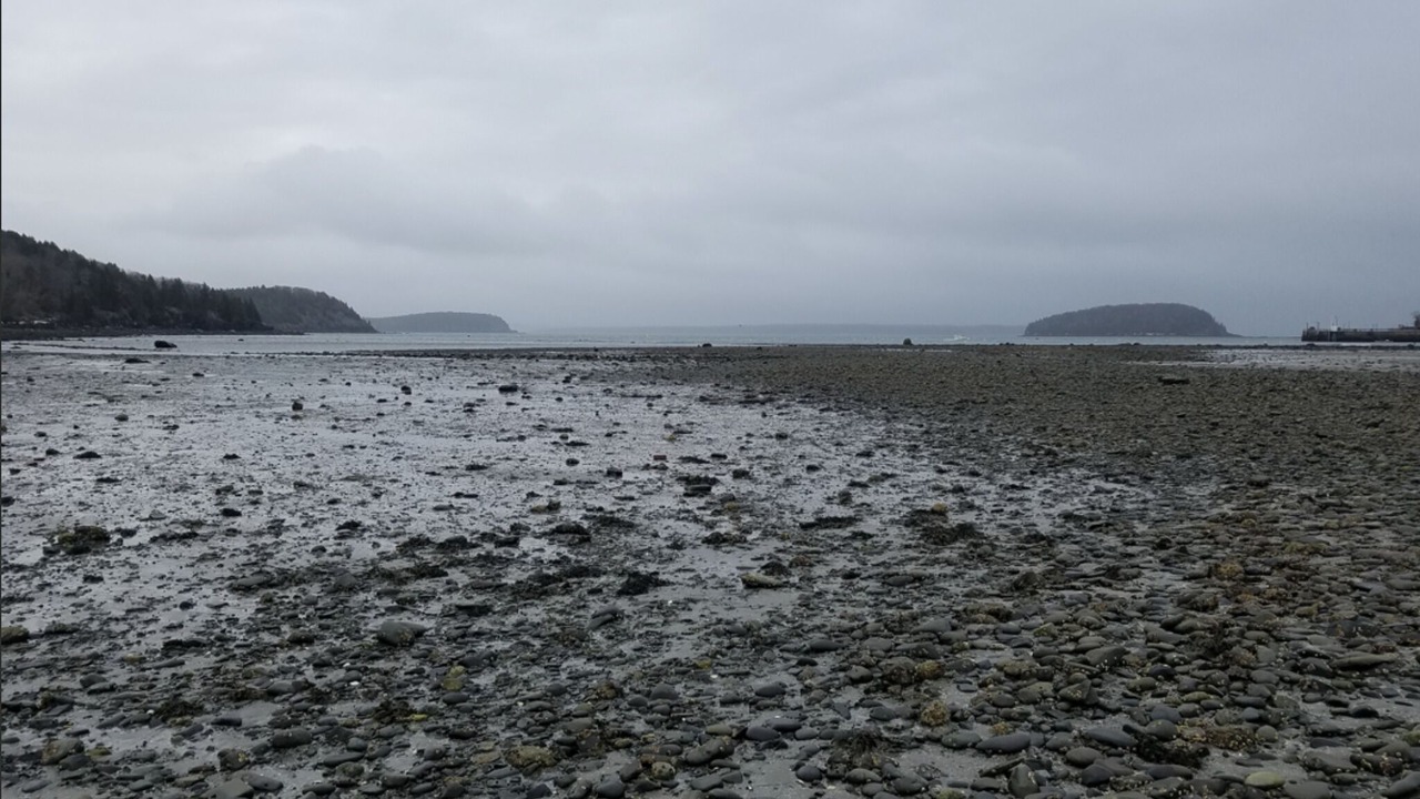 Photo of Others in Surry