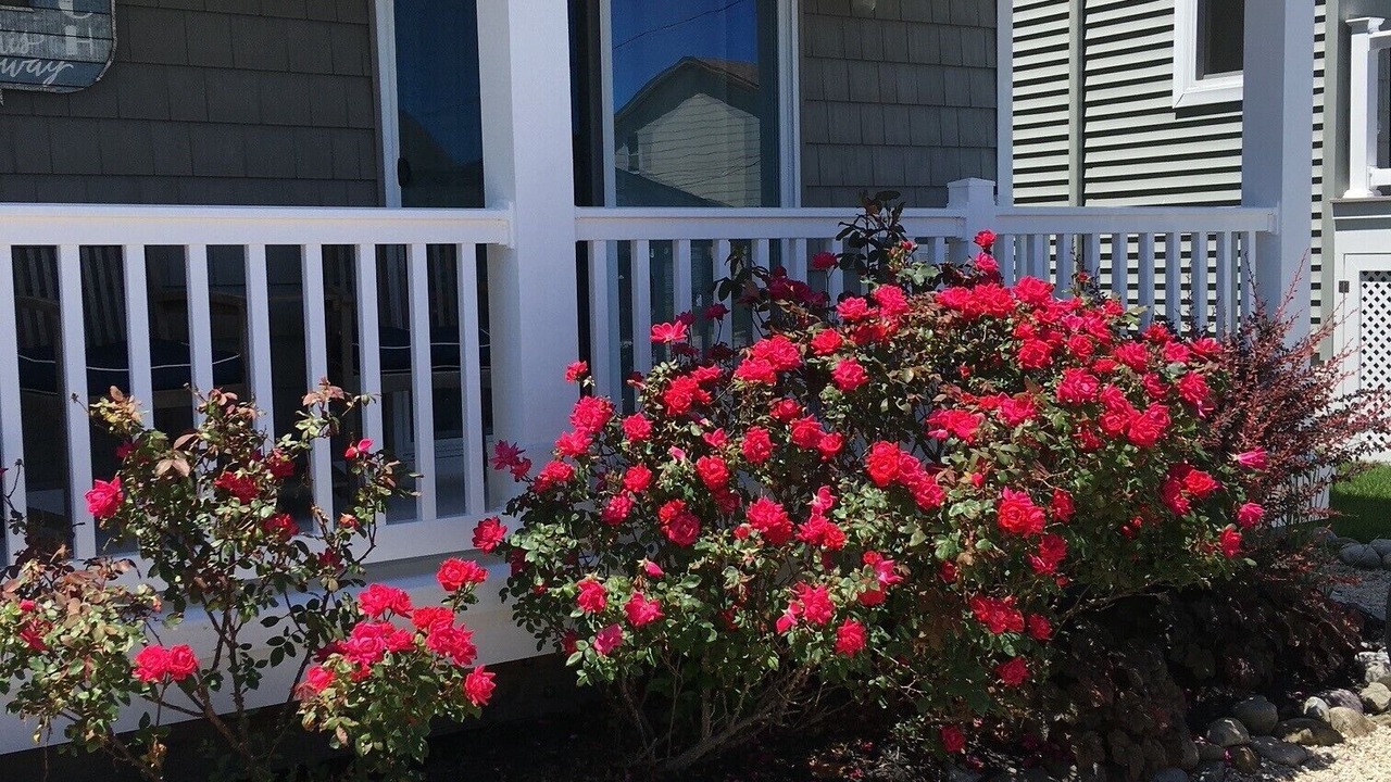 Photo of Outdoor in Brigantine
