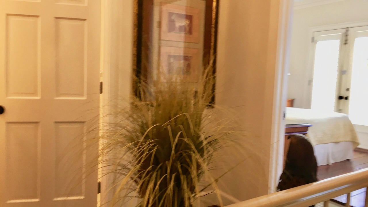 Photo of Others in French Quarter